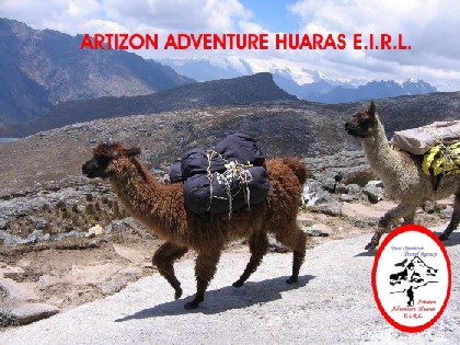 Llama trek Cordillera Blanca